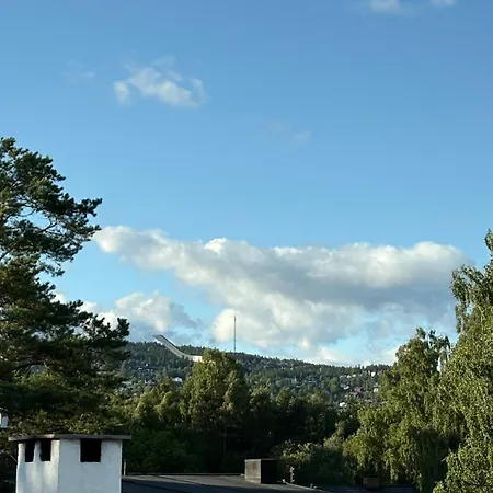 Scandinavian In Oslo-west Willa
